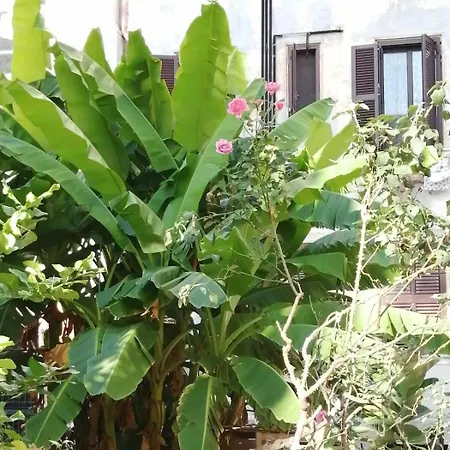 Il Cortile - Nel Cuore Di Testaccio * Rome
