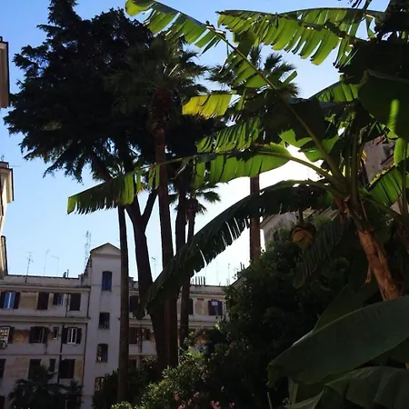 Il Cortile - Nel Cuore Di Testaccio